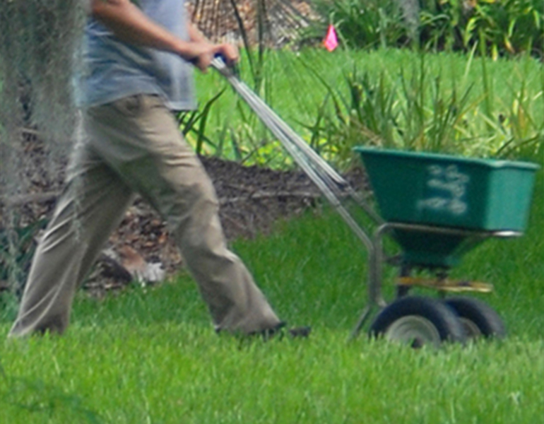 Rapid Turf Diagnostic  Service