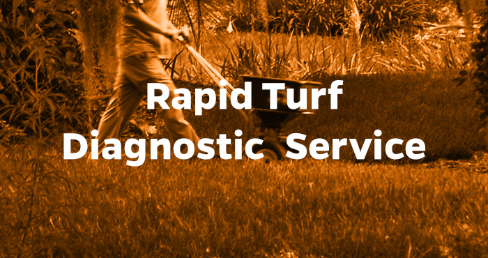 Rapid Turf Diagnostic  Service
